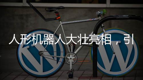 人形機(jī)器人大壯亮相，引領(lǐng)未來(lái)科技新潮流