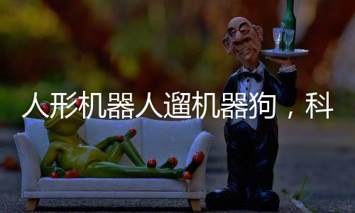 人形機(jī)器人遛機(jī)器狗，科技前沿的新篇章