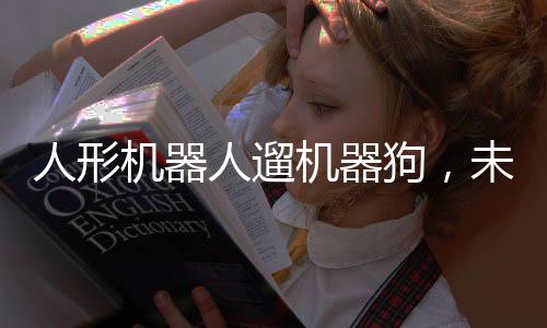 人形機(jī)器人遛機(jī)器狗，未來科技的新里程碑