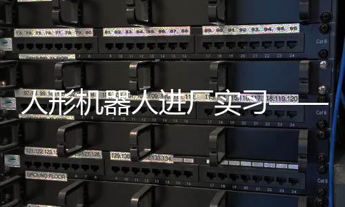 人形機(jī)器人進(jìn)廠實(shí)習(xí)——一探究竟