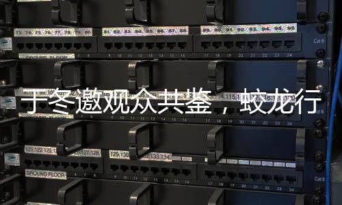 于冬邀觀眾共鑒，蛟龍行動是否值得黃金場期待？一文深度解析