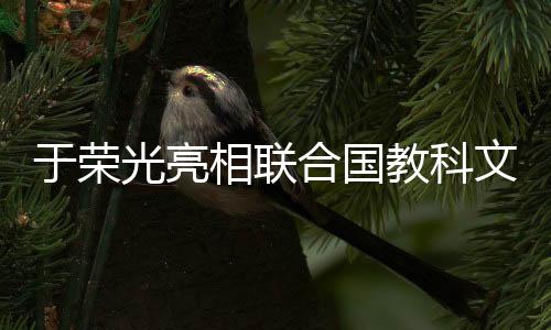 于榮光亮相聯(lián)合國(guó)教科文舞臺(tái)，跨界合作引領(lǐng)文化創(chuàng)新之旅