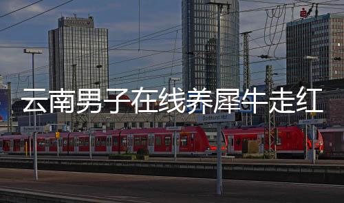 云南男子在線養(yǎng)犀牛走紅網(wǎng)絡(luò)時(shí)代的新型守護(hù)者引領(lǐng)潮流