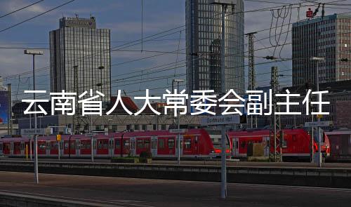 云南省人大常委會(huì)副主任李文榮被查，揭示反腐斗爭(zhēng)新動(dòng)向