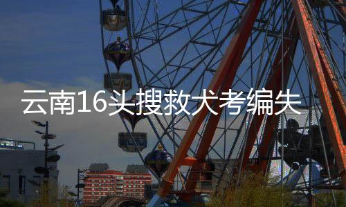 云南16頭搜救犬考編失敗等待領養(yǎng)，傳遞愛與責任的故事