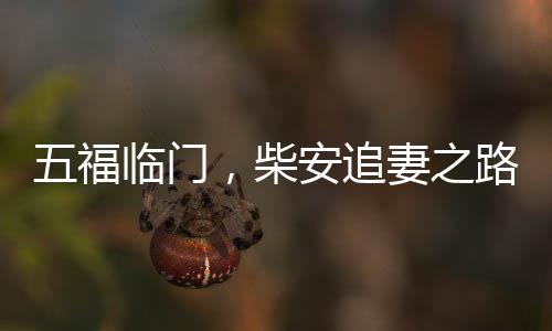 五福臨門，柴安追妻之路，用盡所有力氣