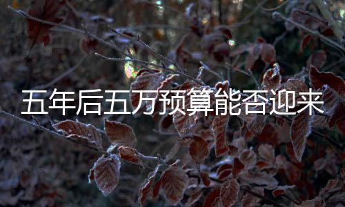 五年后五萬預(yù)算能否迎來智能家務(wù)機(jī)器人？市場(chǎng)與技術(shù)趨勢(shì)解讀