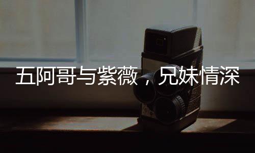 五阿哥與紫薇，兄妹情深，命運(yùn)交錯(cuò)