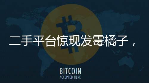 二手平臺驚現(xiàn)發(fā)霉橘子，竟被炒至近600元！