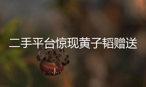 二手平臺(tái)驚現(xiàn)黃子韜贈(zèng)送座駕，引發(fā)網(wǎng)友熱議
