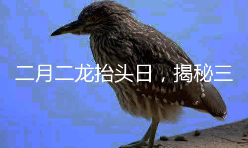 二月二龍?zhí)ь^日，揭秘三大傳統(tǒng)風(fēng)俗