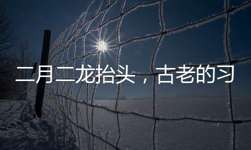 二月二龍?zhí)ь^，古老的習俗與文化的傳承