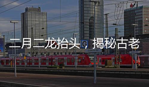 二月二龍?zhí)ь^，揭秘古老天文現(xiàn)象背后的神秘面紗