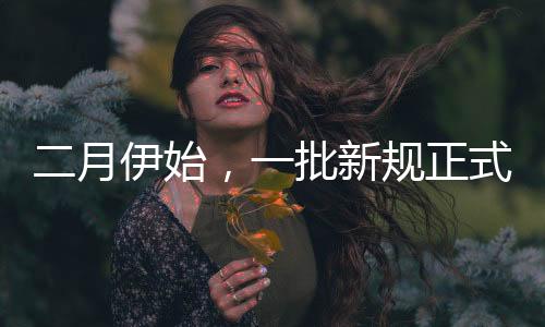 二月伊始，一批新規(guī)正式實(shí)施，引領(lǐng)社會(huì)步入新篇章