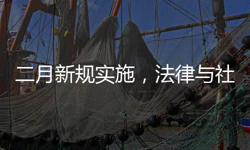 二月新規(guī)實施，法律與社會共舞的新篇章