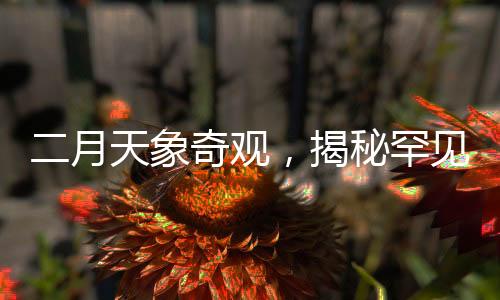 二月天象奇觀，揭秘罕見的七星連珠現(xiàn)象即將于本月28日現(xiàn)身夜空的奧秘