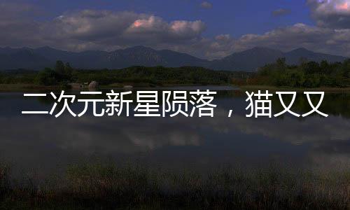 二次元新星隕落，貓又又的離去與永恒的記憶