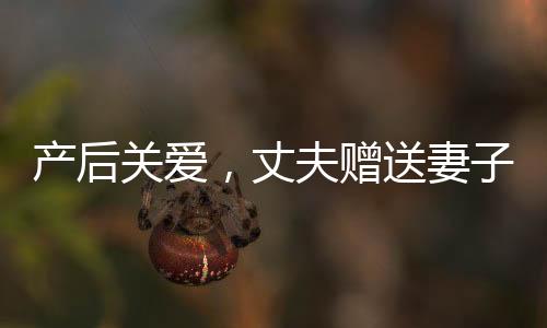 產(chǎn)后關(guān)愛，丈夫贈(zèng)送妻子十萬(wàn)元塔，傳遞溫情與關(guān)懷