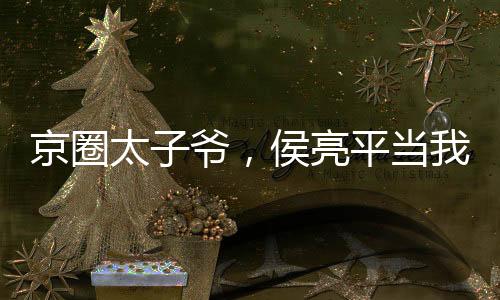 京圈太子爺，侯亮平當(dāng)我軟柿子？