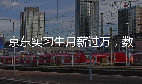 京東實習生月薪過萬，數(shù)字背后的故事與啟示