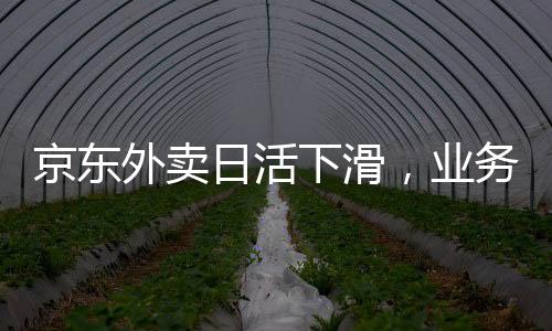 京東外賣日活下滑，業(yè)務(wù)調(diào)整或面臨挑戰(zhàn)