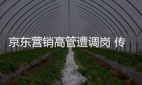 京東營銷高管遭調(diào)崗 傳與楊笠代言爭議風波有關(guān)
