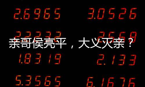 親哥侯亮平，大義滅親？國家保我