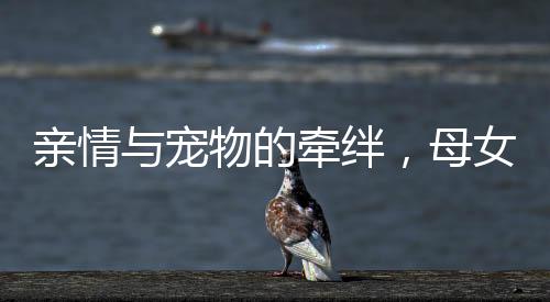 親情與寵物的牽絆，母女冒雨尋回被親戚悄悄抱走的小狗
