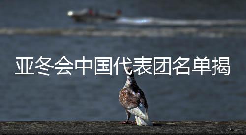 亞冬會(huì)中國(guó)代表團(tuán)名單揭曉，谷愛(ài)凌領(lǐng)銜，健兒蓄勢(shì)待發(fā)