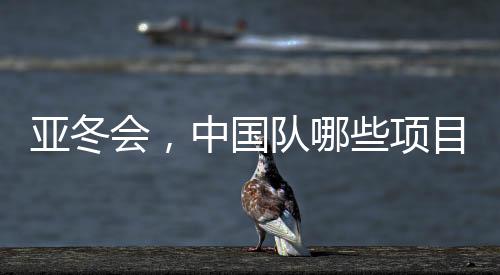 亞冬會(huì)，中國隊(duì)哪些項(xiàng)目奪金最多？盤點(diǎn)奪冠熱門領(lǐng)域