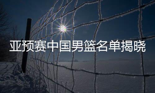 亞預(yù)賽中國男籃名單揭曉，蓄勢待發(fā)邁向國際賽場