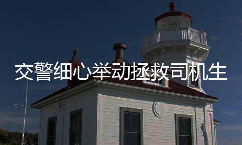 交警細(xì)心舉動拯救司機(jī)生命