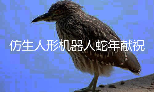 仿生人形機(jī)器人蛇年獻(xiàn)祝福迎蛇年新春，科技獻(xiàn)上獨(dú)特祝福
