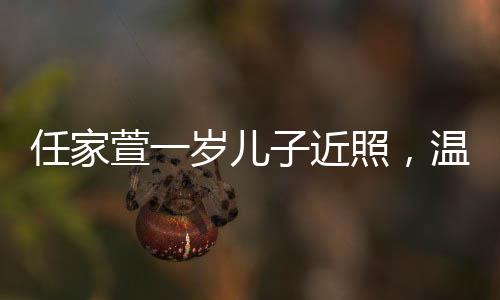 任家萱一歲兒子近照，溫馨家庭時(shí)光見(jiàn)證成長(zhǎng)足跡