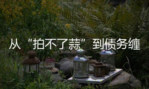 從“拍不了蒜”到債務纏身，400年的張小泉怎么了？