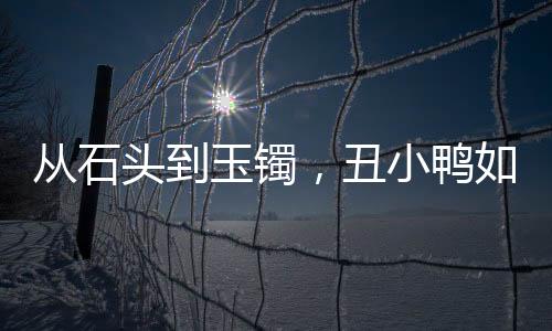 從石頭到玉鐲，丑小鴨如何變天鵝