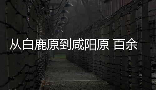 從白鹿原到咸陽原 百余件文物展現(xiàn)“文景之治”