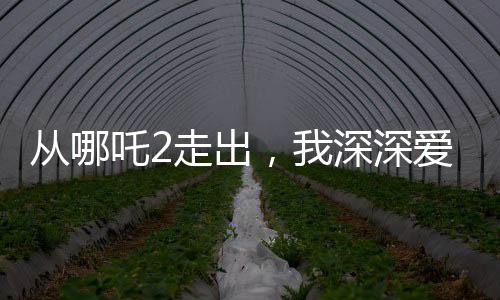 從哪吒2走出，我深深?lèi)?ài)上了申公豹