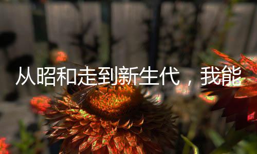 從昭和走到新生代，我能掠奪詞條
