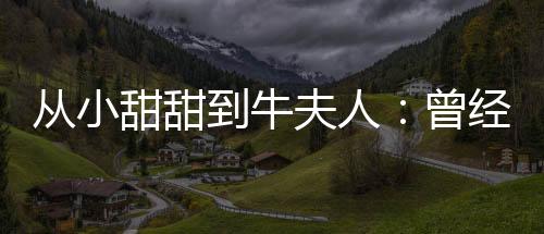 從小甜甜到牛夫人：曾經(jīng)家喻戶(hù)曉的兩款車(chē)型宣告停產(chǎn)
