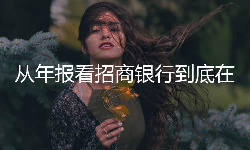 從年報(bào)看招商銀行到底在押注什么