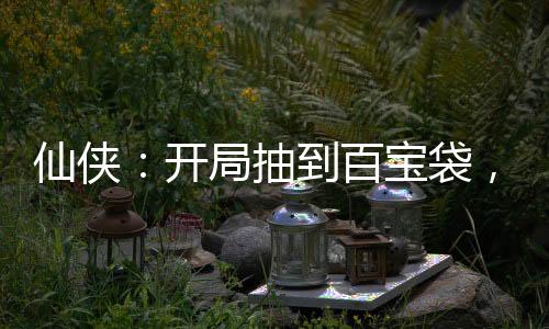仙俠：開局抽到百寶袋，我無敵了