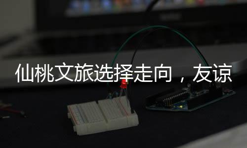 仙桃文旅選擇走向，友諒引領(lǐng)，非雷軍路線