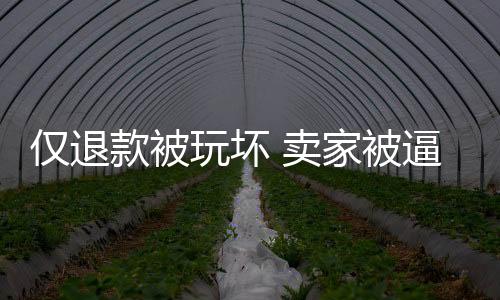 僅退款被玩壞 賣家被逼瘋：建議建立商家申訴處理機制