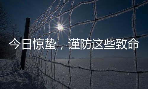 今日驚蟄，謹防這些致命的小東西