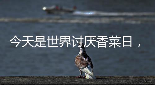 今天是世界討厭香菜日，一場關于味覺偏好的奇妙盛宴