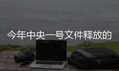 今年中央一號(hào)文件釋放的新信號(hào)，政策動(dòng)向與未來展望