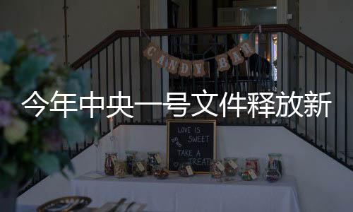 今年中央一號文件釋放新信號，重塑農(nóng)業(yè)農(nóng)村發(fā)展的多元策略