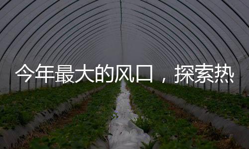 今年最大的風(fēng)口，探索熱點話題的全貌