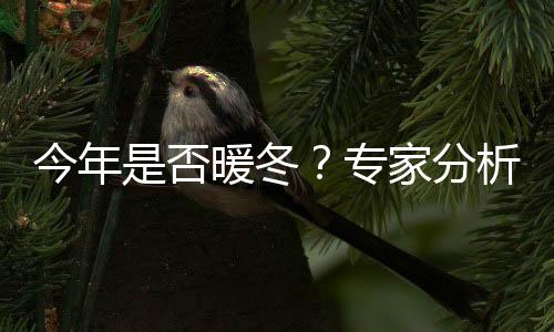 今年是否暖冬？專家分析